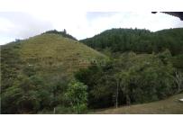 Fincas y Casas Campestres, Venta, Dagua - $520.000.000