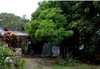 Fincas y Casas Campestres, Venta, La Buitrera - $600.000.000