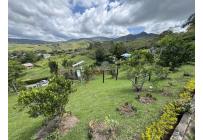 Fincas y Casas Campestres, Venta, La Cumbre - $1.680.000.000