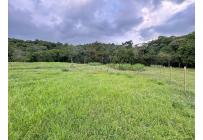 Lotes, Venta, Pance - $2.100.000.000