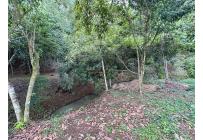 Lotes, Venta, Pance - $2.100.000.000