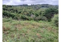 Lotes, Venta, La Cumbre - $485.000.000