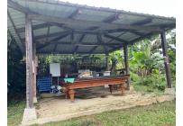 Fincas y Casas Campestres, Alquiler, Dagua - $900.000