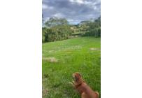 Lotes, Venta, Viterbo - $280.000.000