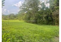 Lotes, Venta, Viterbo - $280.000.000