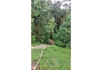 Casas, Alquiler, La Elvira