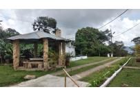 Casas, Alquiler, La Elvira