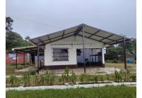 Casas, Alquiler, La Elvira