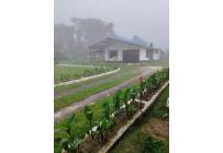 Casas, Alquiler, La Elvira