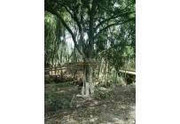 Lotes, Venta, Jamundí - $160.000.000