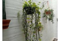 Casas, Venta, Jamundí - $240.000.000