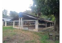 Fincas y Casas Campestres, Alquiler, Guacarí - $7.200.000