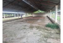 Fincas y Casas Campestres, Alquiler, Guacarí - $7.200.000