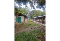 Fincas y Casas Campestres, Alquiler, Guacarí - $7.200.000