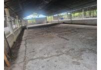 Fincas y Casas Campestres, Alquiler, Guacarí - $7.200.000