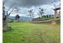 Fincas y Casas Campestres, Venta, Yotoco - $450.000.000