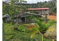 Fincas y Casas Campestres, Venta, Yotoco - $450.000.000