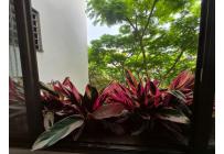 Apartamentos, Venta, Multicentro - $580.000.000