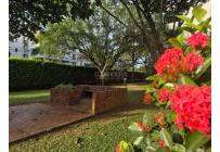 Apartamentos, Venta, Multicentro - $580.000.000