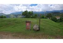 Lotes, Venta, Palmira - $650.000.000