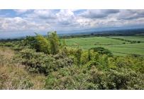 Lotes, Venta, Palmira - $650.000.000