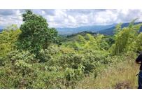 Lotes, Venta, Palmira - $650.000.000