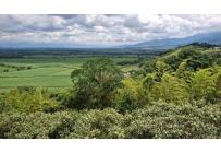 Lotes, Venta, Palmira - $650.000.000