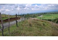 Lotes, Venta, Palmira - $650.000.000