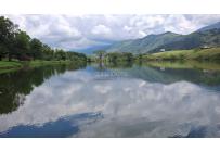 Lotes, Venta, Palmira - $650.000.000