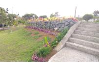 Fincas y Casas Campestres, Venta, Dagua - $820.000.000