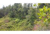 Lotes, Venta, Dagua - $150.000.000