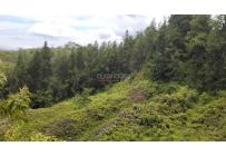 Lotes, Venta, Dagua - $150.000.000