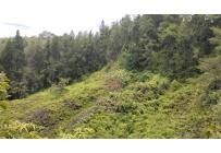 Lotes, Venta, Dagua - $150.000.000