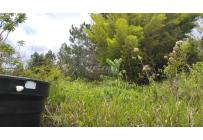 Lotes, Venta, Dagua - $150.000.000