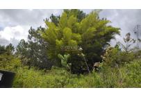 Lotes, Venta, Dagua - $150.000.000