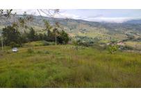 Lotes, Venta, Dagua - $150.000.000