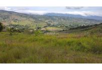 Lotes, Venta, Dagua - $150.000.000