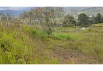 Lotes, Venta, Dagua - $150.000.000