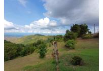 Fincas y Casas Campestres, Venta, Yumbo - $599.930.000