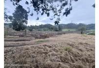 Lotes, Venta, Bojaca - $13.120.000.000