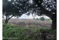 Lotes, Venta, Bojaca - $13.120.000.000