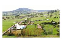 Lotes, Venta, La Calera - $290.000.000