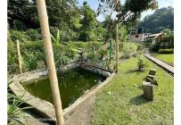 Casas, Venta, La Mesa - $980.000.000