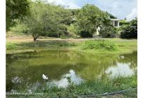 Lotes, Venta, Anapoima - $290.000.000