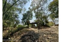 Casas, Venta, Carmen de Apicala - $1.200.000.000