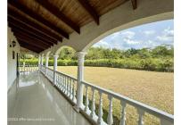 Casas, Venta, Carmen de Apicala - $1.200.000.000