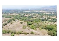 Lotes, Venta, Carmen de Apicala - $2.600.000.000