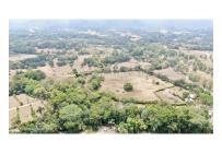 Lotes, Venta, Carmen de Apicala - $2.600.000.000