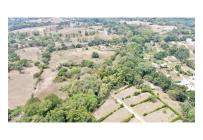 Lotes, Venta, Carmen de Apicala - $170.000.000