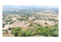 Lotes, Venta, Carmen de Apicala - $170.000.000